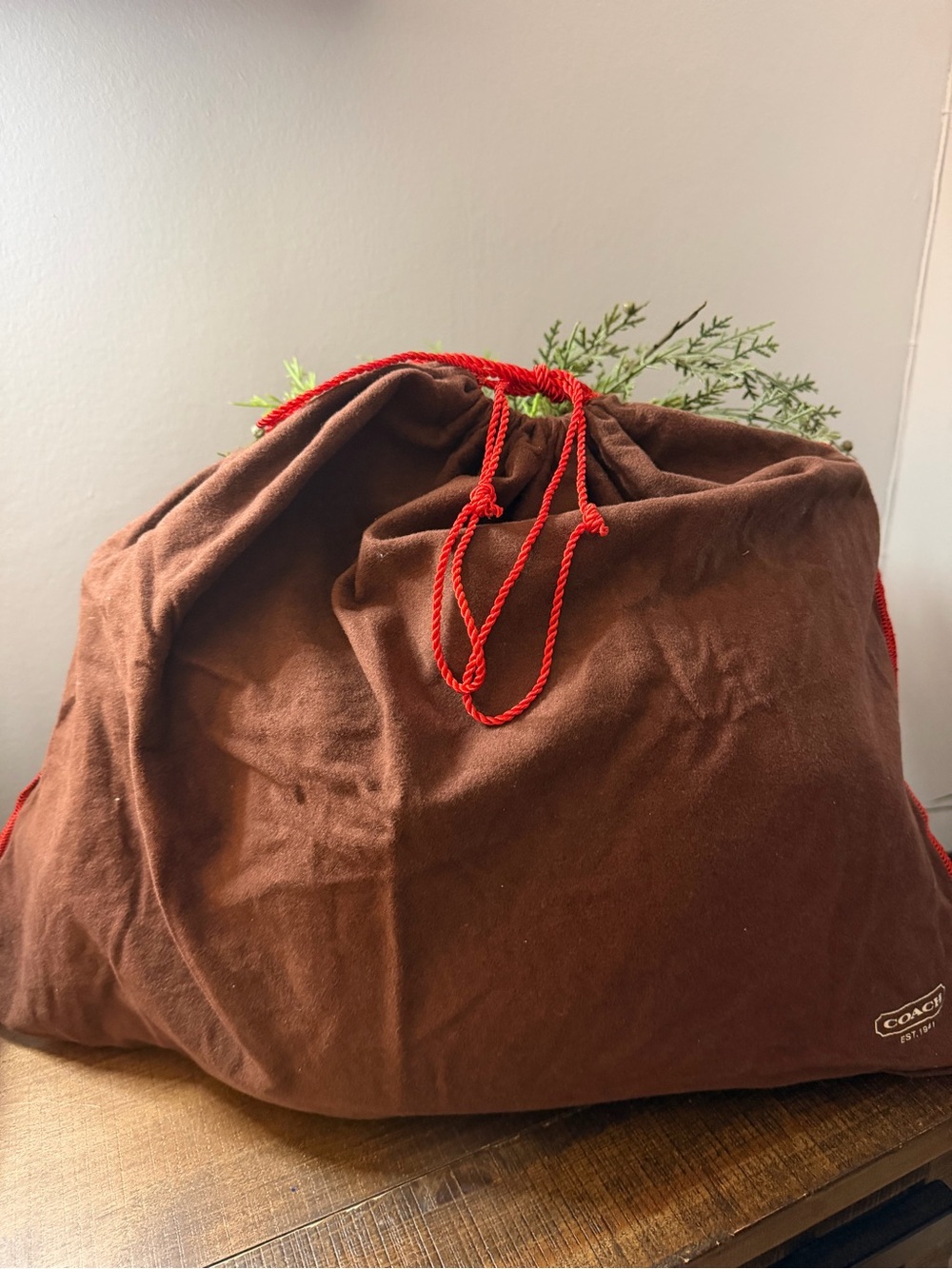 Coach Signature C Zoe Bag - Picture 16 of 16